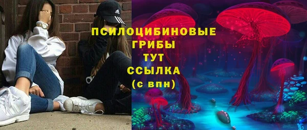 дурь Краснослободск
