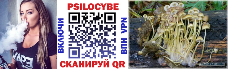 Галлюциногенные грибы MAGIC MUSHROOMS  Купить  Североморск 